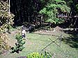 Highslide JS